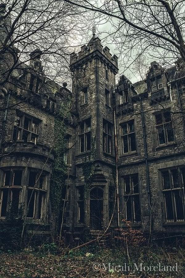 an old abandoned building with ivy growing on it's walls and windows, surrounded by bare trees