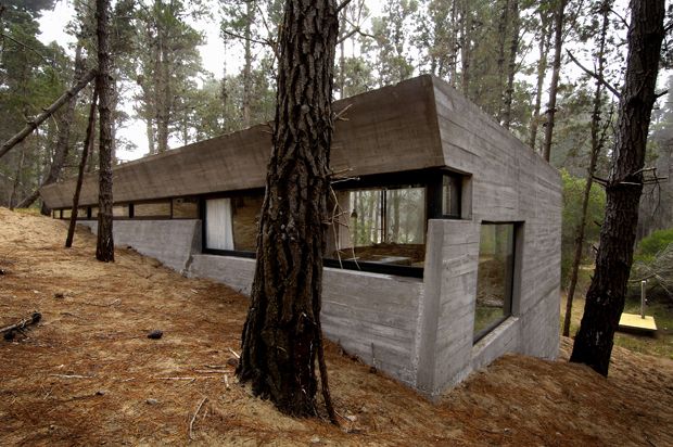 a concrete structure in the woods surrounded by trees