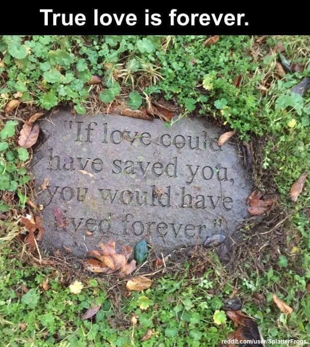 a stone in the grass that says if love could have saved you, you would have never forgotten