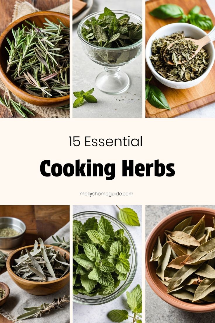 the top five herbs to use in cooking