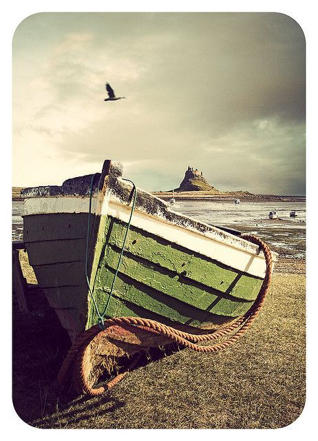 a boat sitting on top of a grass covered field next to the ocean with a bird flying over it