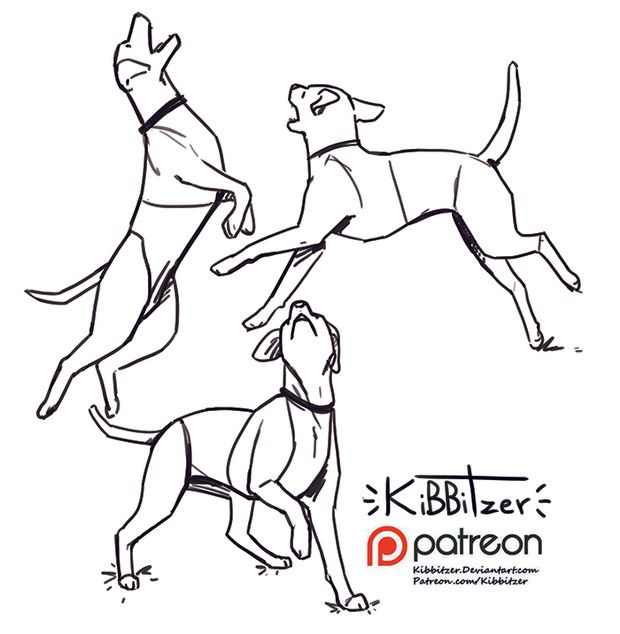 three dogs jumping up and down in the air with one dog looking up at another