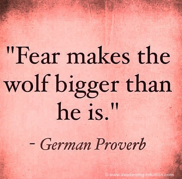 german prove about fear makes the wolf bigger than he is - germa proverb