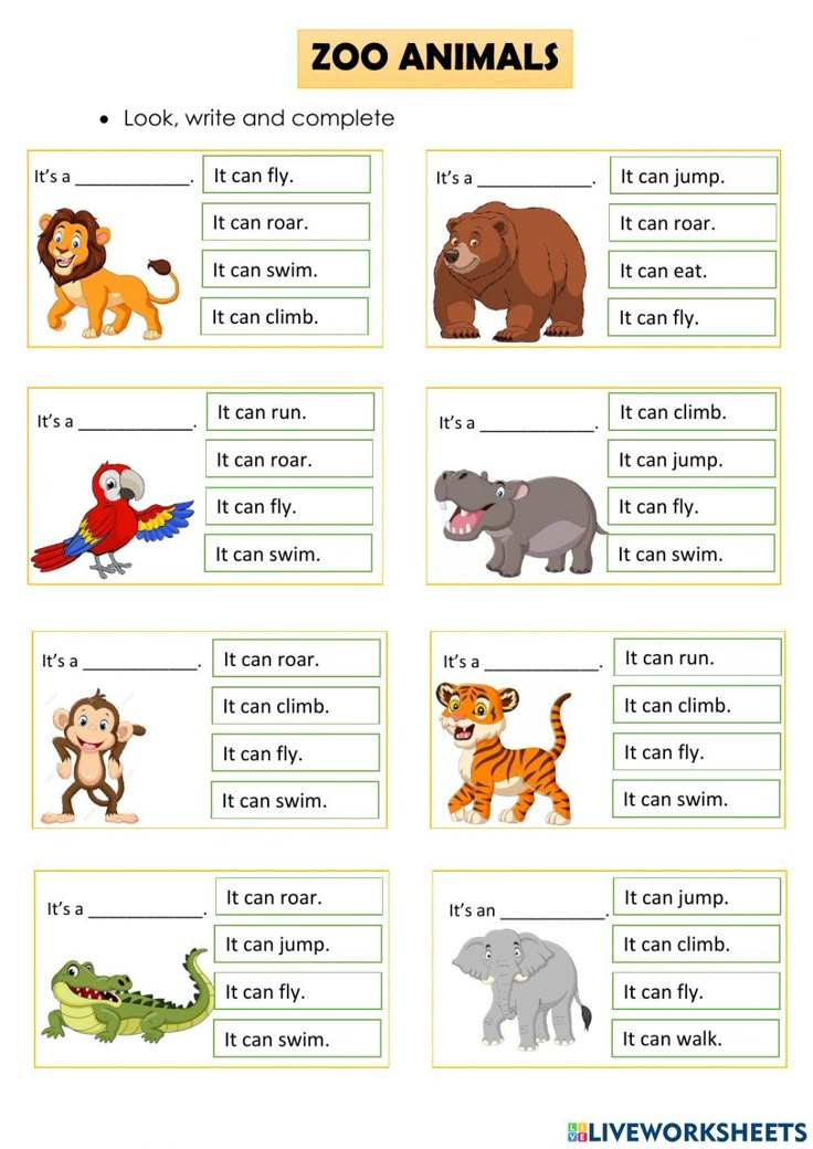 zoo animals worksheet for kids to learn and practice their english language skills with pictures