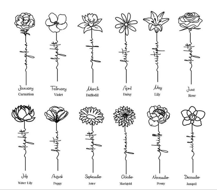 flowers are arranged in the form of spirals, which have been drawn by hand