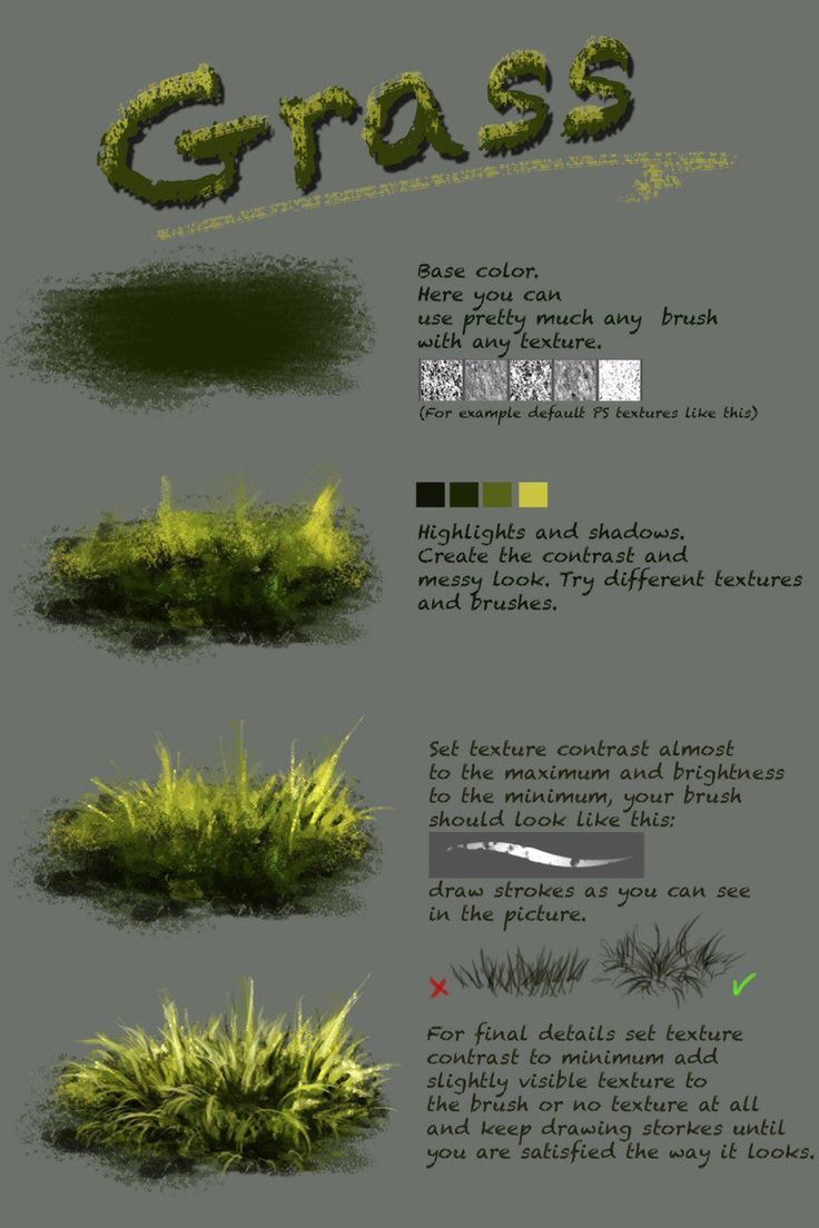 some grass is shown with different colors and textures for each type of plant in the image