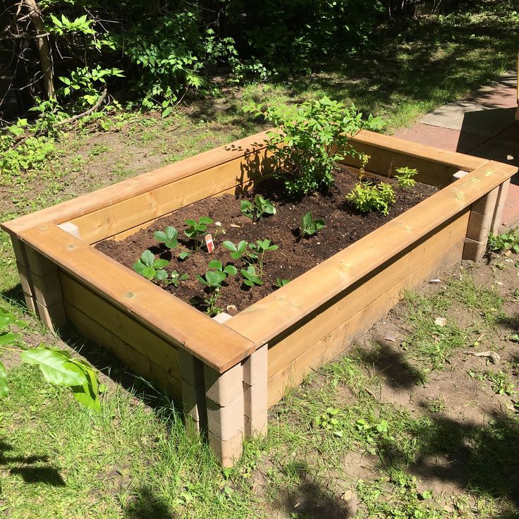 a wooden raised garden bed with plants growing in it