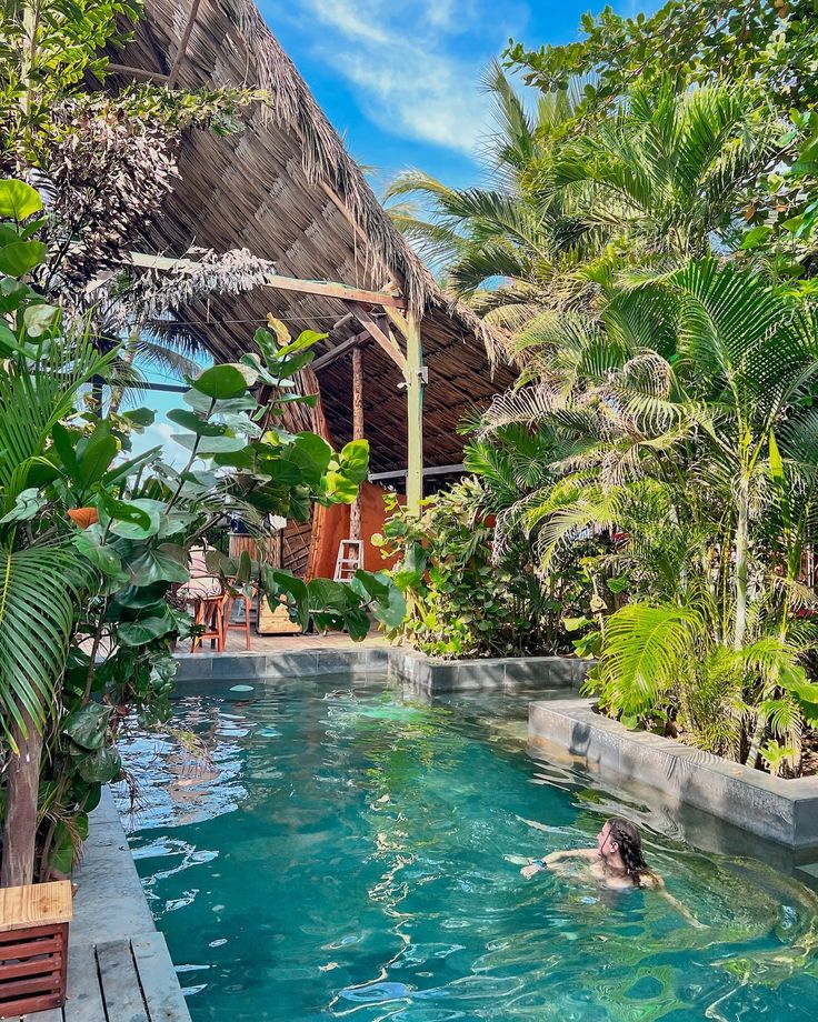 a person swimming in a pool surrounded by trees and greenery on a sunny day