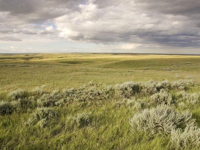 an open field with grass and clouds in the background