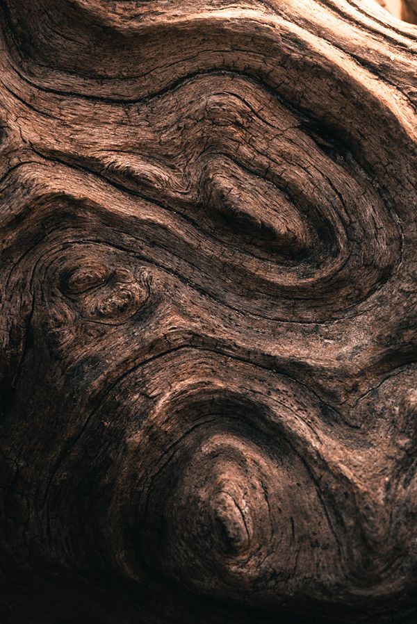 a close up view of the wood grains on this piece of drifty tree