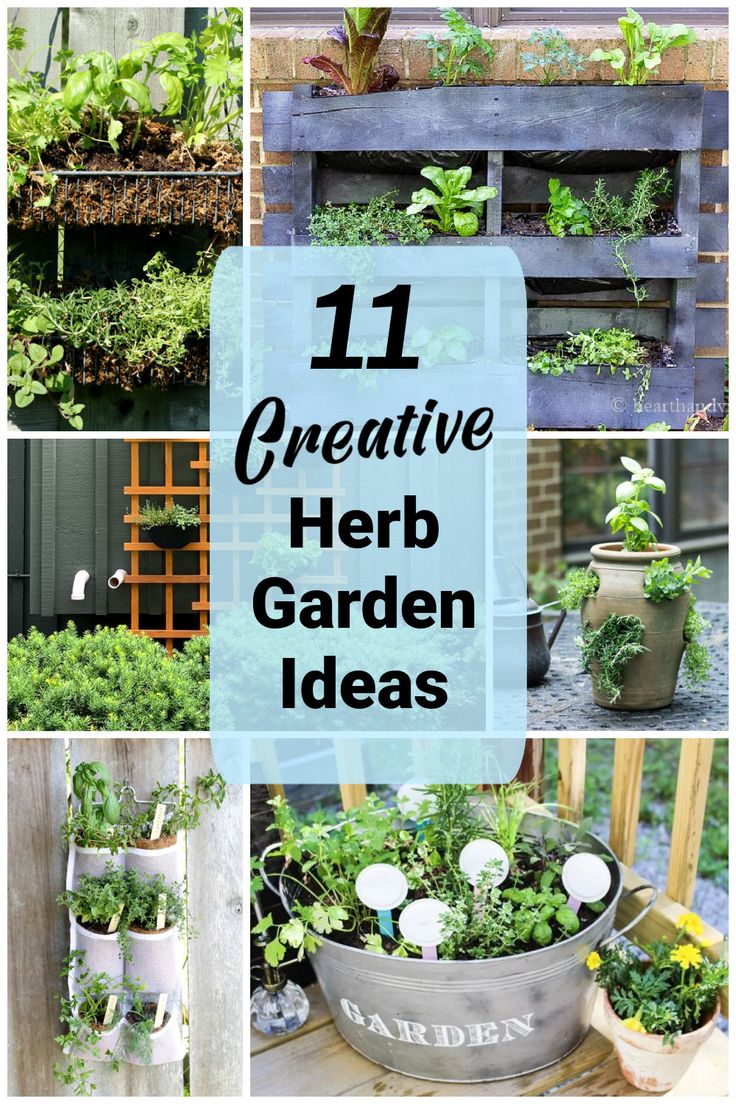 Collage of DIY herb gardens for small spaces. Landscape Planters, Raised Herb Garden, Herb Garden Ideas, Herb Garden Pots, Container Herb Garden, Small Herb Gardens, Outdoor Herb Garden, Spice Garden, Hanging Herb Garden