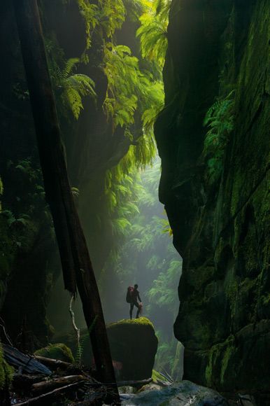 a man standing in the middle of a forest filled with trees and bushes, surrounded by tall rocks