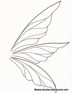 a drawing of a butterfly wing on a white background