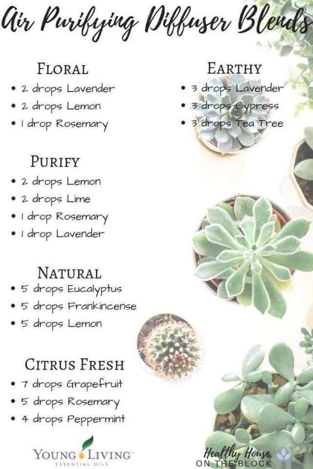 Lilin Aroma, Essential Oil Combinations, Doterra Essential Oils Recipes, Essential Oil Diffuser Blends Recipes, Magia Das Ervas, Young Living Essential Oils Recipes, Essential Oils Guide, Essential Oil Diffuser Recipes, Yl Essential Oils