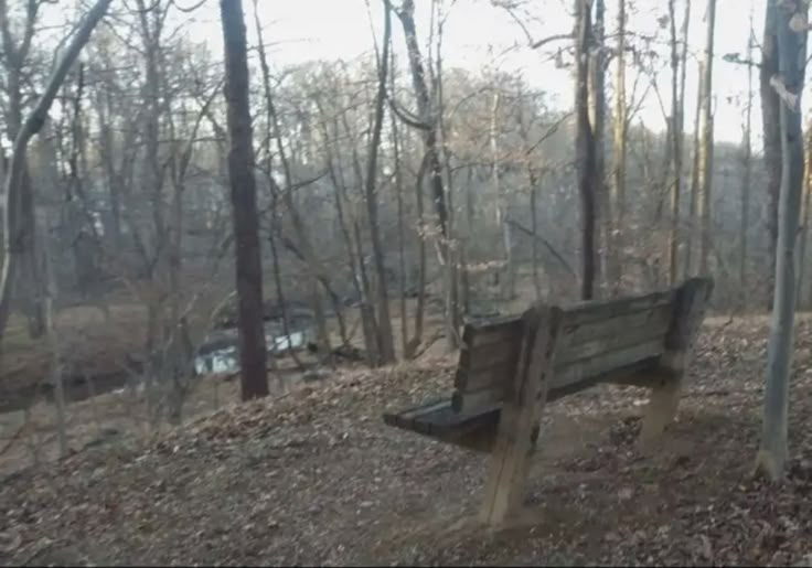 a wooden bench sitting in the middle of a forest