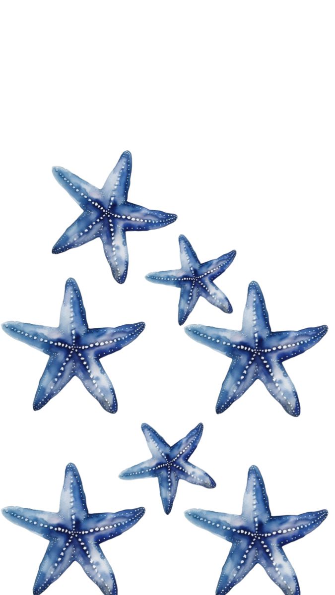 six blue starfishs are arranged in the shape of a circle