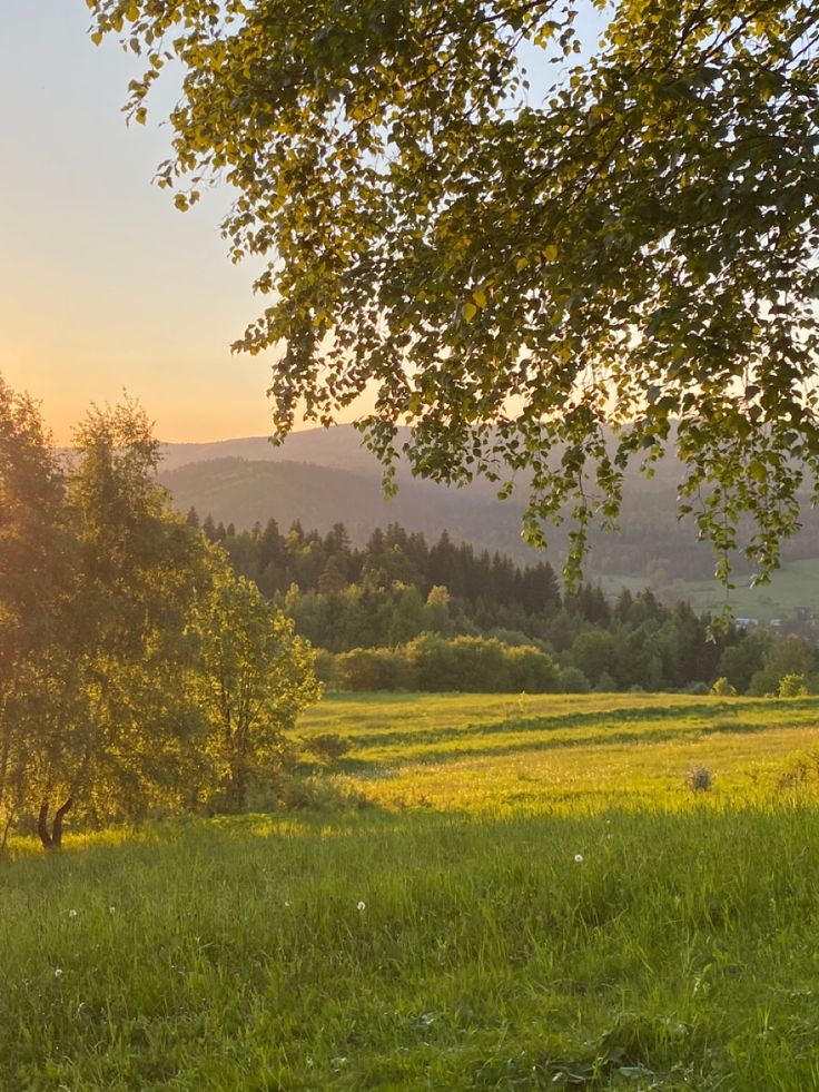 the sun shines brightly on an open field with trees and mountains in the background