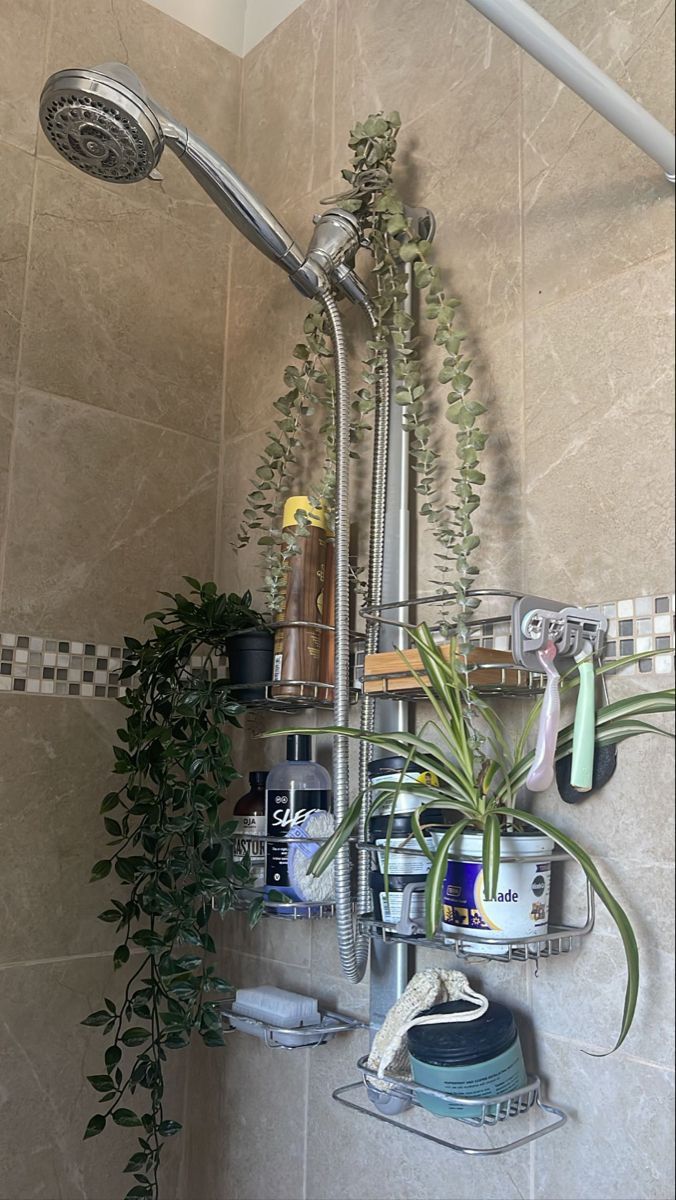 a shower head with plants growing on it and other bathroom items hanging from the wall