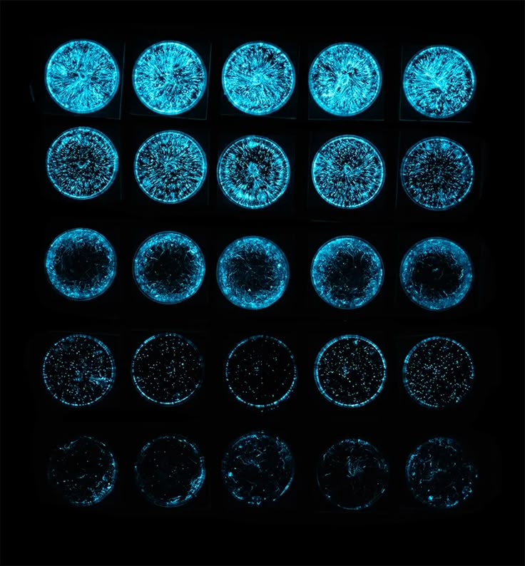 an array of blue and black circles on a black background with the light reflecting off them