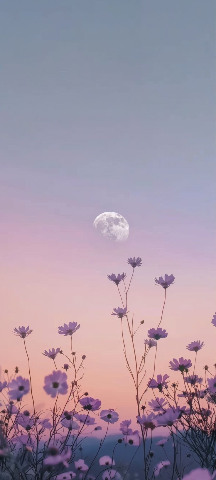 the moon is setting over some purple flowers