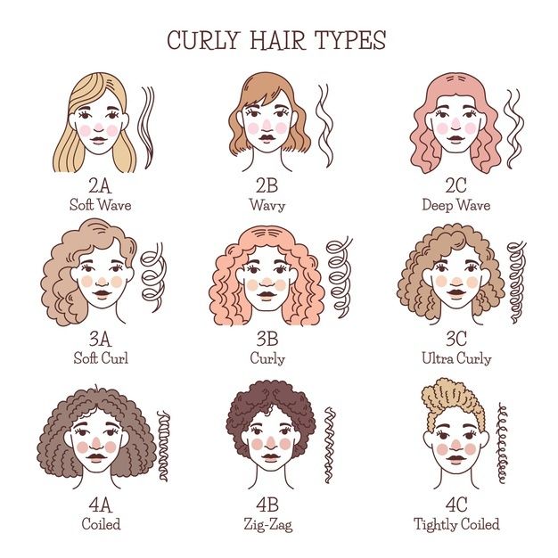 Drawn Curly Hair, Types Of Curly Hair, Hair Type Chart, Hair Chart, Virgin Hair Vendors, Hairstyle Names, Curly Hair Types, Hair Patterns, Hair Coils