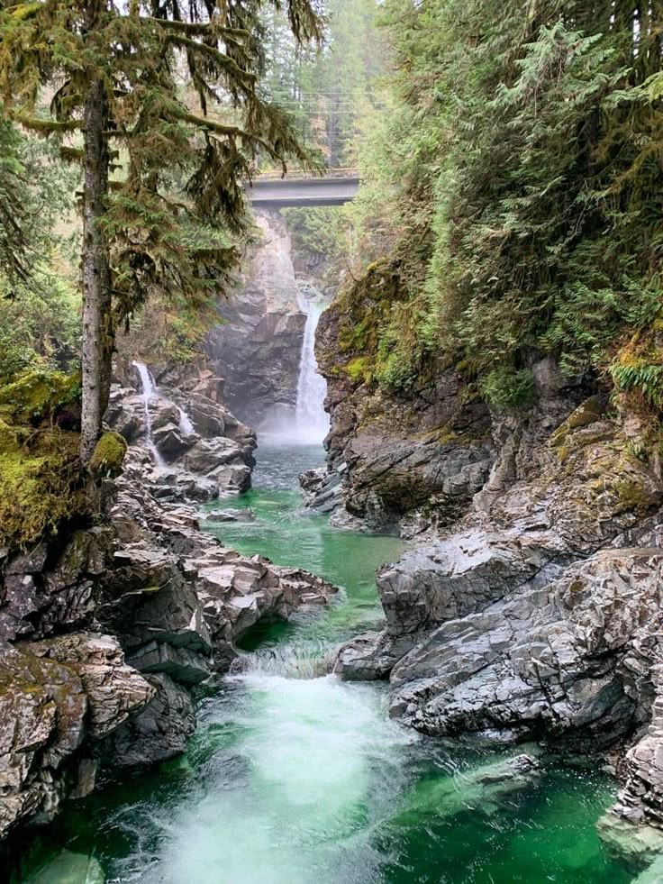 a river running through a forest filled with rocks and trees next to a tall bridge