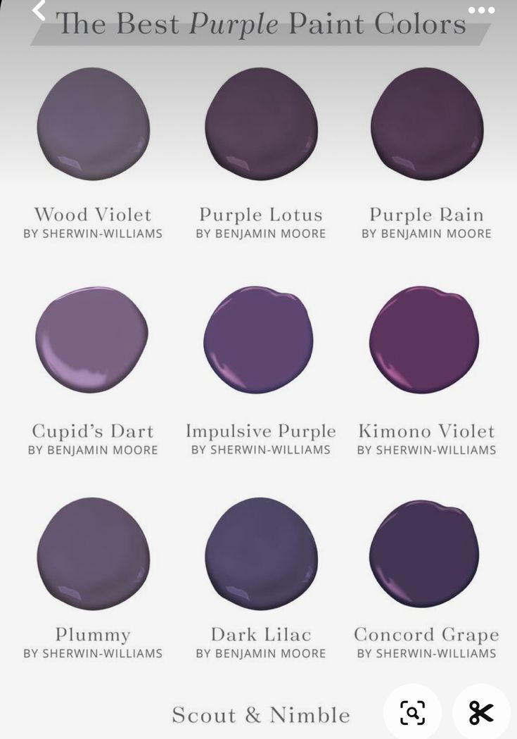 the best purple paint colors for your home