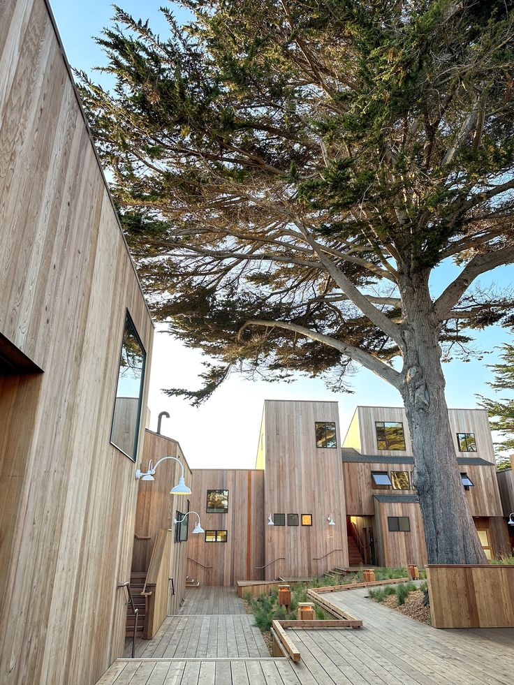 a wooden walkway leading to two buildings with trees in the foreground and another building on the other side