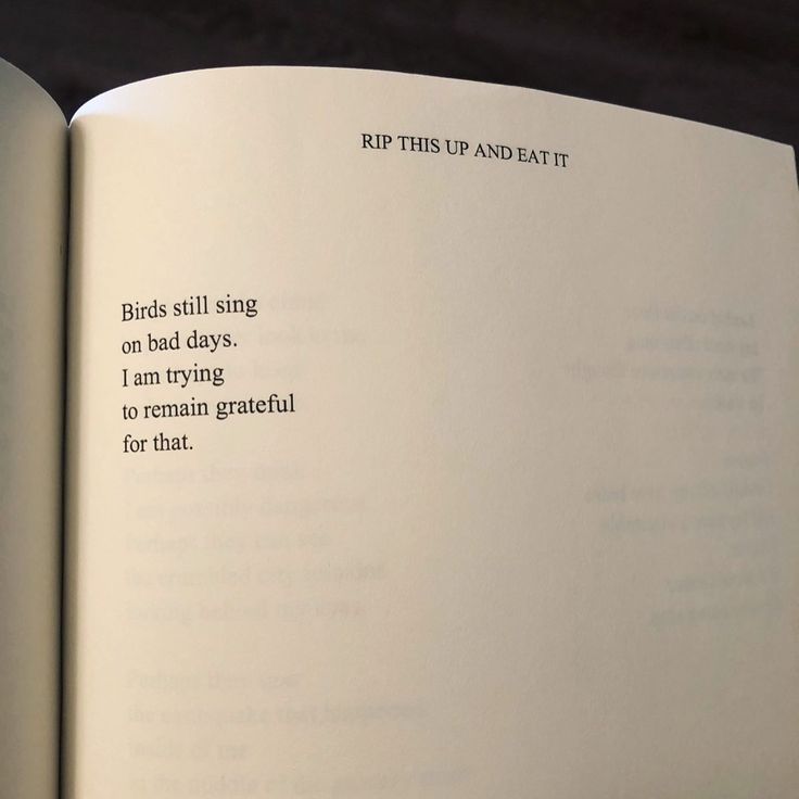 an open book with the words birds still sing on bad days i am trying to remain grateful for that