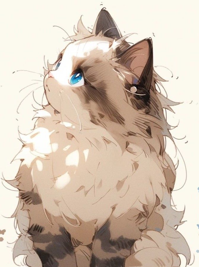 a drawing of a cat with blue eyes and long hair sitting in front of a white background