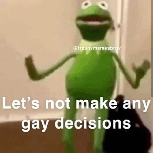 kermik the frog is standing in front of a door and saying, let's not make any gay decision