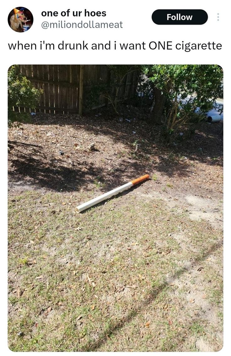 an old baseball bat laying on the ground in front of a fence and some bushes