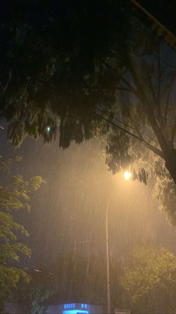 a street light in the rain at night with no one around it and some trees