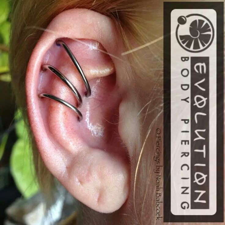 an ear with three thin black metal bars sticking out of it's middle part