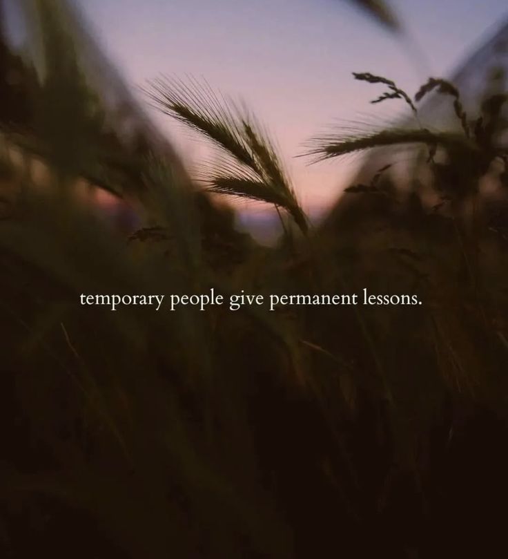 the words temporary people give permanent lessons in front of some tall grass at sunset or dawn