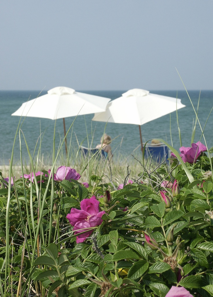 two white umbrellas sitting on top of a lush green field next to the ocean