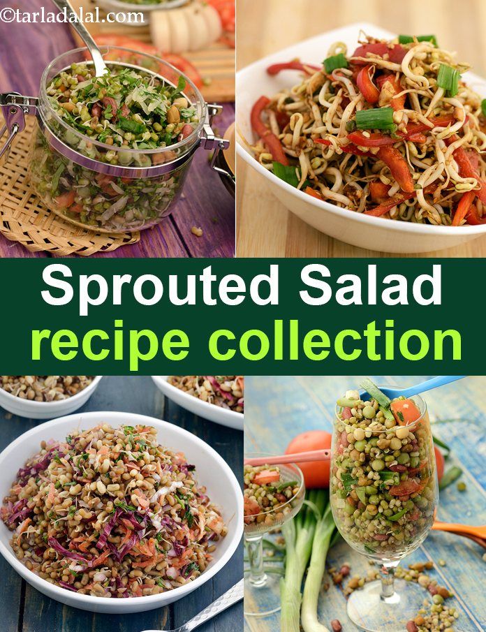 sprouted salad recipe collection