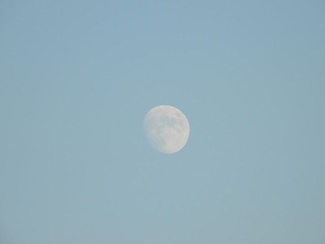 the full moon is visible in the blue sky