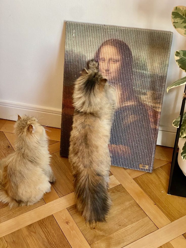 two cats sitting on the floor in front of a painting