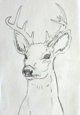 a drawing of a deer with antlers on it's head and the eyes are drawn