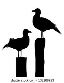 two birds sitting on top of wooden posts