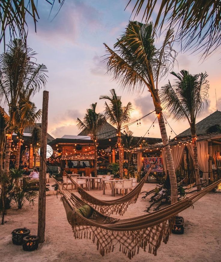 a hammock set up on the beach at dusk with lights strung from palm trees