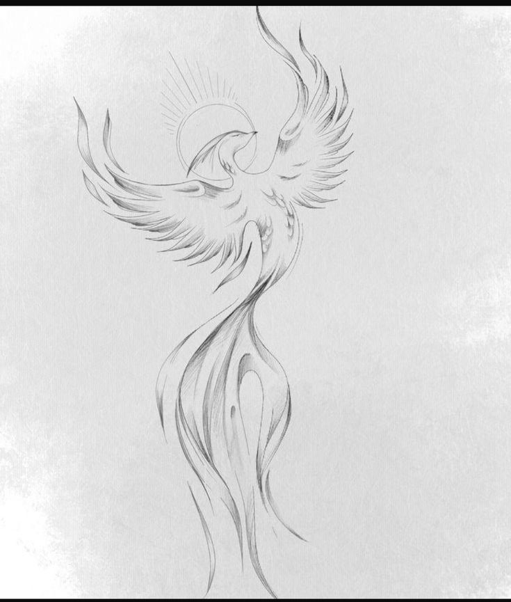 a pencil drawing of a bird with wings spread in the air and sun shining down on it's back