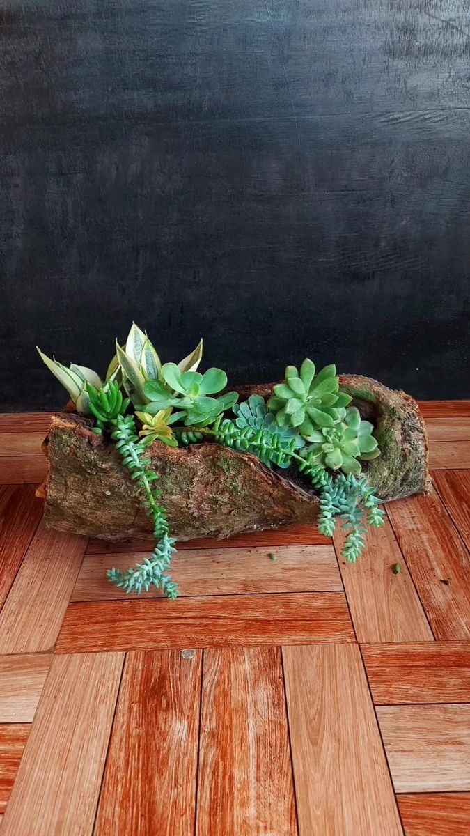 a planter with succulents in it on a wooden floor