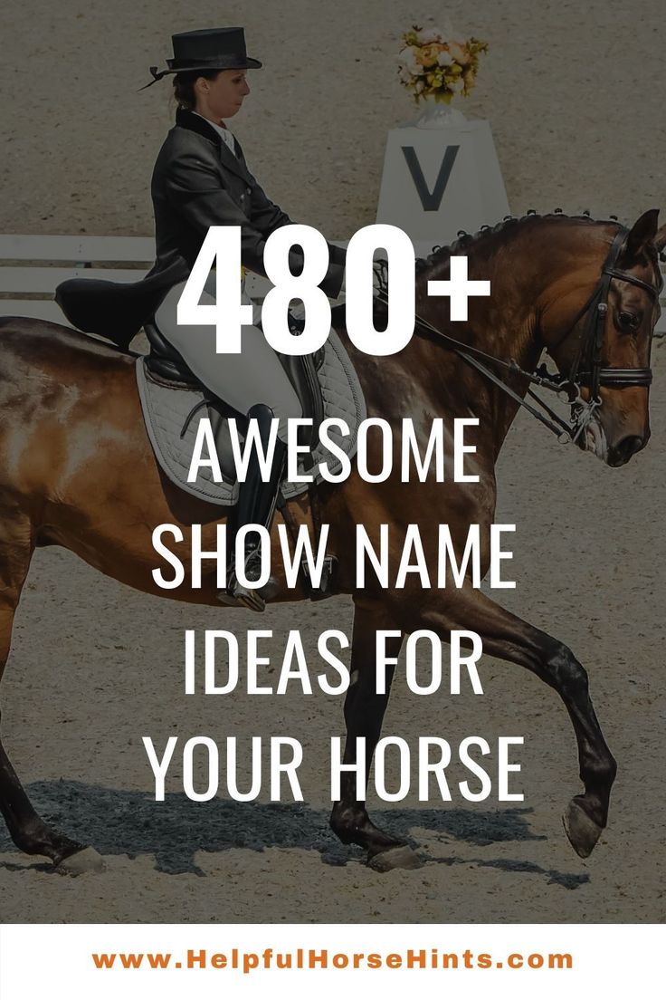 a woman riding on the back of a brown horse with text overlay reading 480 + awesome show name ideas for your horse