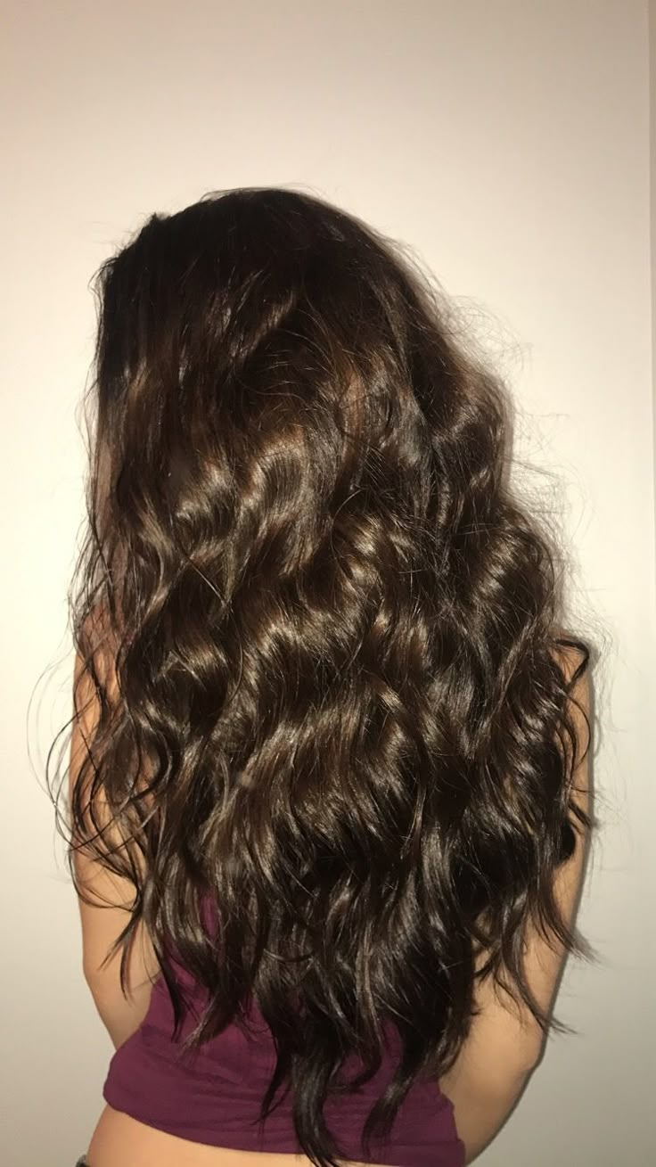 Waist Length Brunette Hair, Wavy Curly Brown Hair, Full Wavy Hair, Brown 2c Hair, Medium Wavy Brown Hair, 2b Long Hair, Wavy Brown Hair Aesthetic, Brunette Hair Wavy, Long 2b Hair