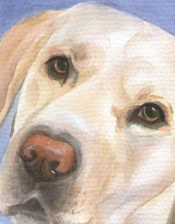 a watercolor painting of a dog's face