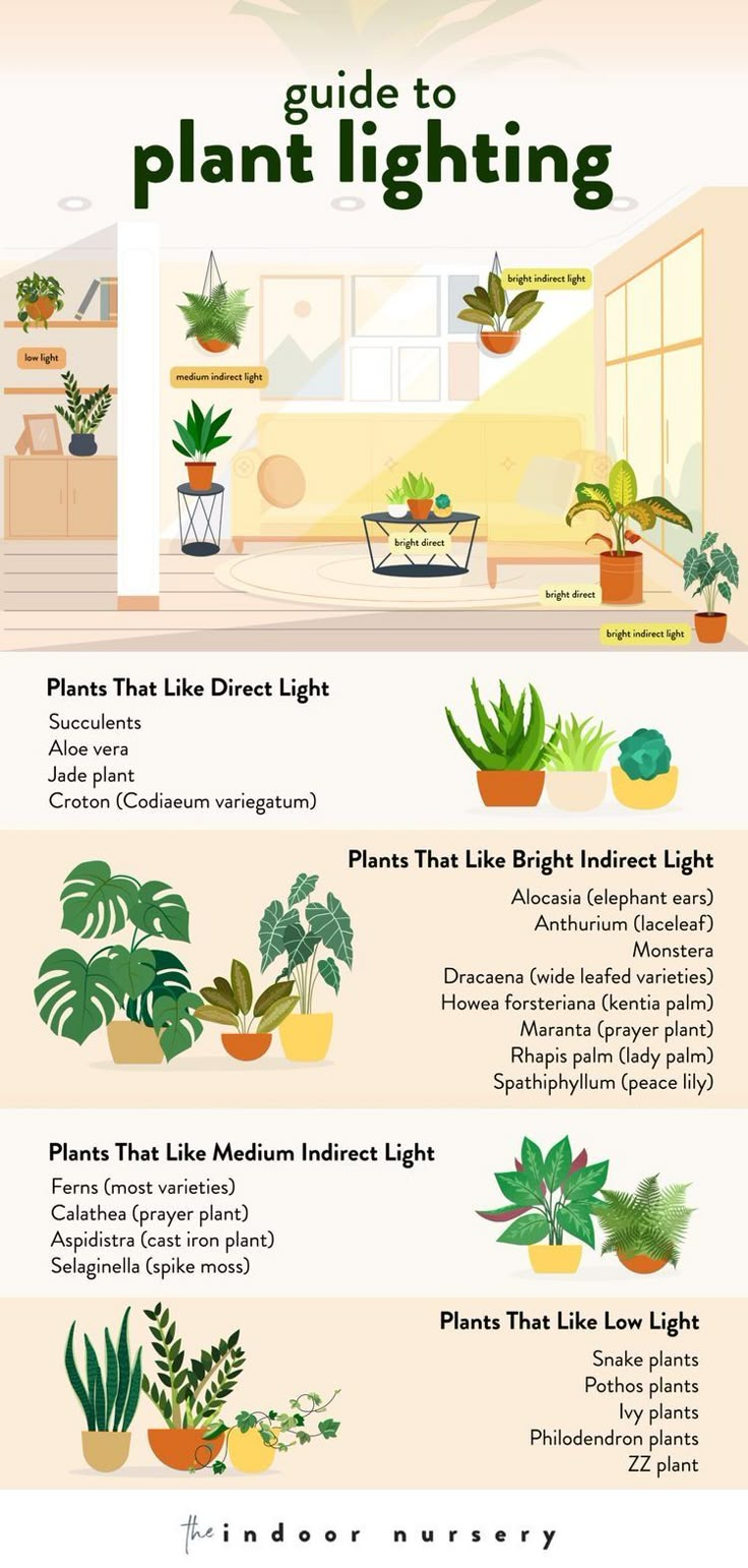 an illustrated guide to plant lighting