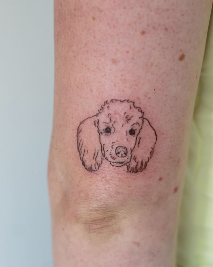 Poodle Tattoo, minimalist poodle tattoo, poodle tattoo ideas, toy poodle tattoo, poodle tattoo outline, standard poodle tattoo, simple poodle tattoo, geometric poodle tattoo, traditional poodle tattoo, black poodle tattoo, mini poodle tattoo, small poodle tattoo, cute poodle tattoo, realistic toy poodle tattoo, poodle tattoo designs, minimalist toy poodle tattoo, small simple poodle tattoo, minimalist poodle tattoo designs, french poodle tattoo, poodle tattoo images, cartoon poodle tattoo Black Poodle Tattoo, Poodle Outline Tattoo, Toy Poodle Tattoo, Poodle Dog Tattoo, Poodle Tattoo Ideas, Indi Tattoo, Tattoo Designs Minimalist, Cartoon Poodle, Poodle Tattoo