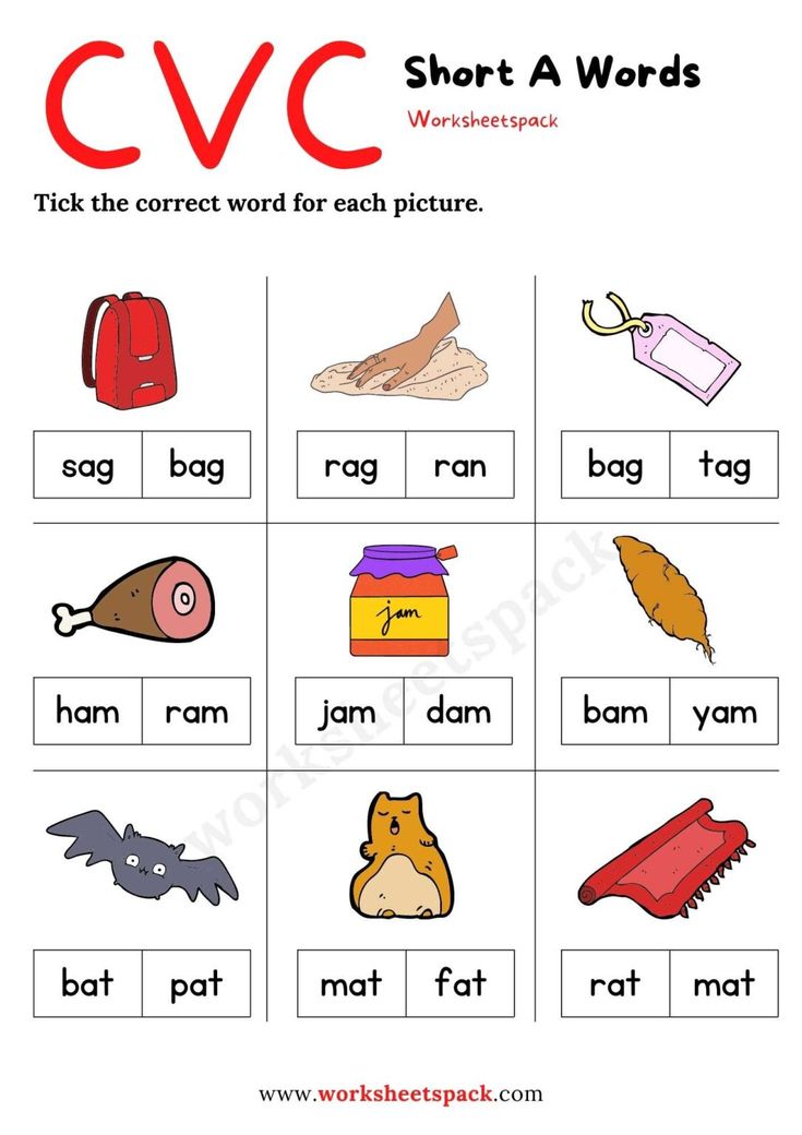 cvc worksheet with words and pictures